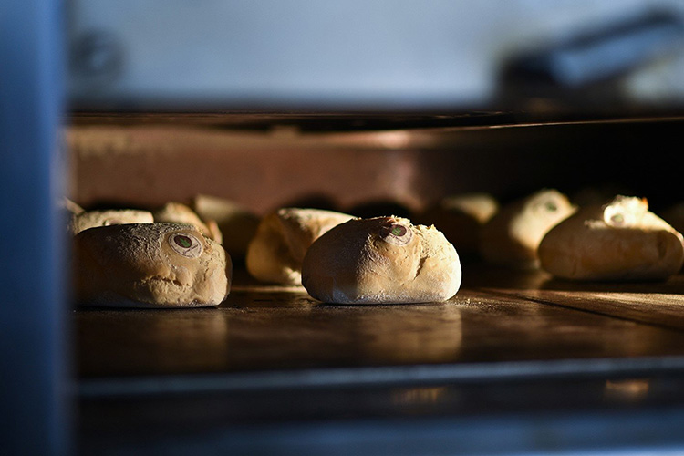 Pane