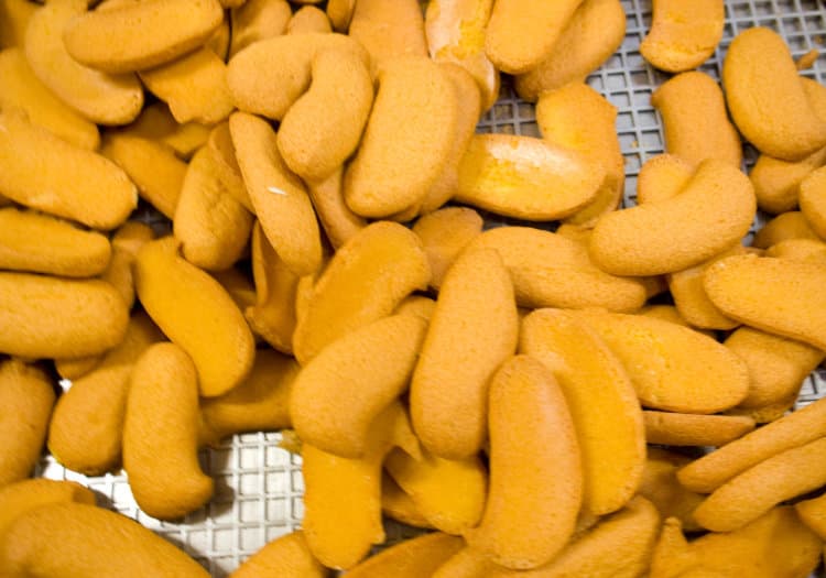 Savoiardi Mattei... perch&eacute; a Prato si fanno questi biscotti?