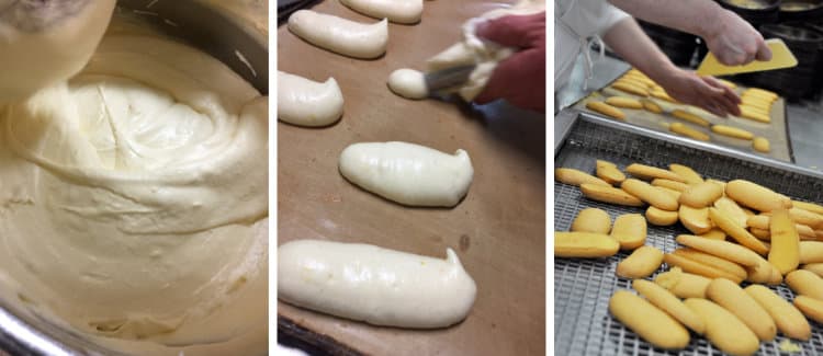 Savoiardi Mattei... perché a Prato si fanno questi biscotti?